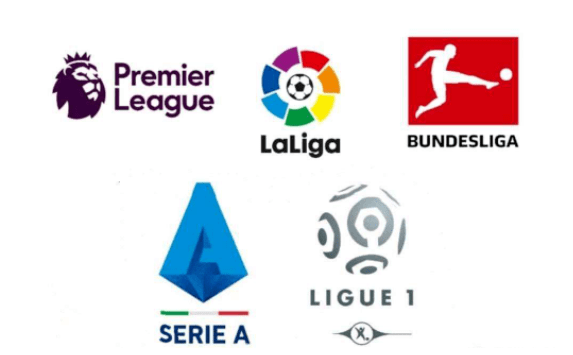 不仅加强了 不仅加强了